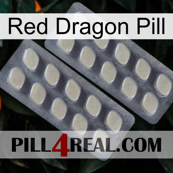 Red Dragon Pill 07.jpg